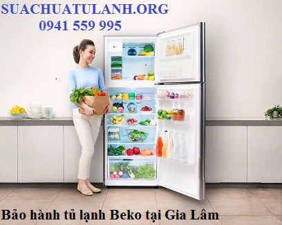 bảo hành tủ lạnh beko tại huyện gia lâm
