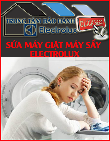 L-sua-may-giat-electrolux