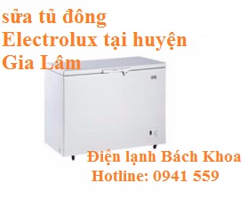 sửa tủ đông Electrolux tại huyện Gia Lâm
