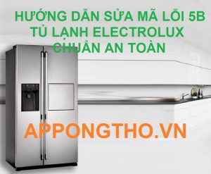 Lỗi 5B thường xuất hiện ở các dòng tủ lạnh Electrolux nào?